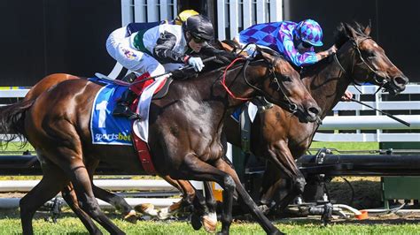 cf orr stakes results|‘Brutal tactics': Mr Brightside up for fight in Group 1 CF Orr Stakes .